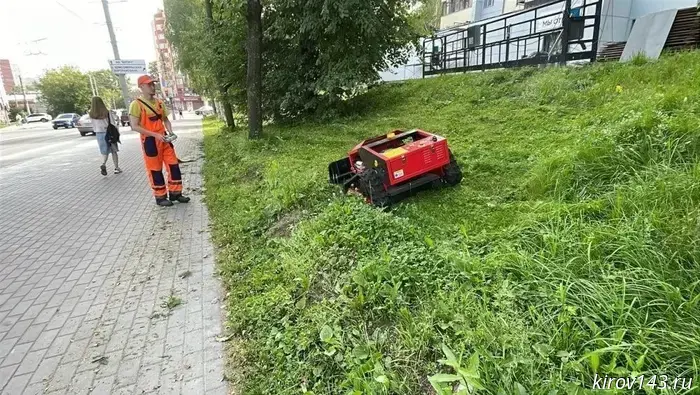 The city administration bought Valera, who works for three.