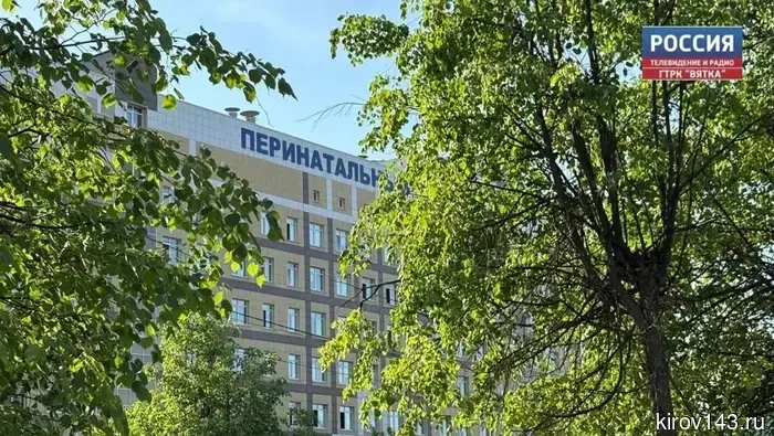 В 2026 году в Кировской области появились 26 двоен и 3 тройни