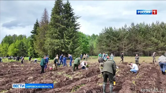 В Кировской области прошла международная акция «Сад памяти»
