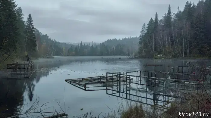 Trout farming in crisis: how the industry found itself on the brink of collapse