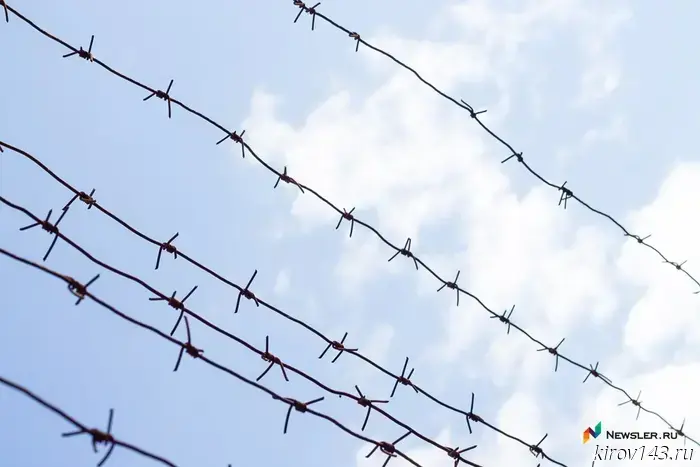 Convicts sentenced to forced labor will be allowed to order prepared meals.