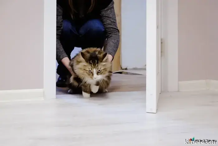 Практически всё жильё возводится в Кирове: строительство запланировано до 2027 года и основывается на кирпичных материалах.