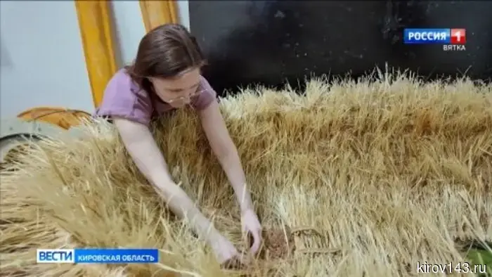 В Кировском театре кукол готовят премьеру: сказку «Курочка Ряба»