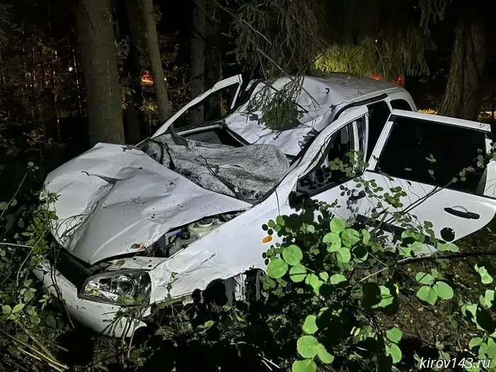 Автомобилистам напомнили о действиях, которые следует предпринять в случае ДТП с животным.