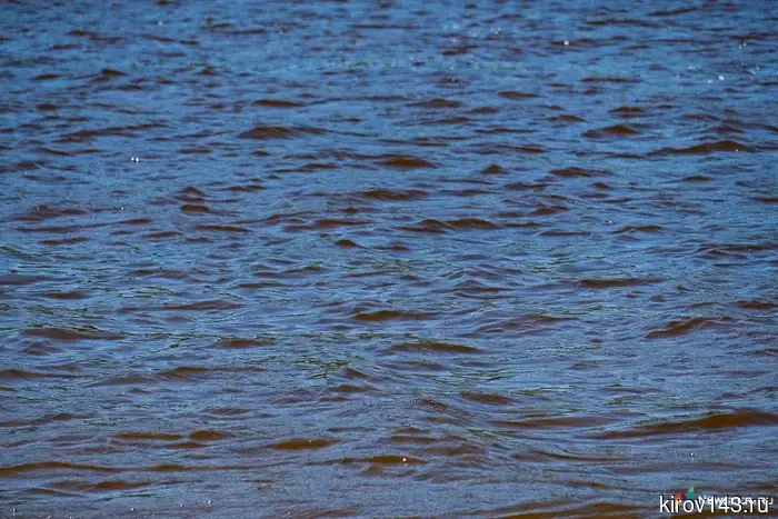 Vyatka continues to rise.