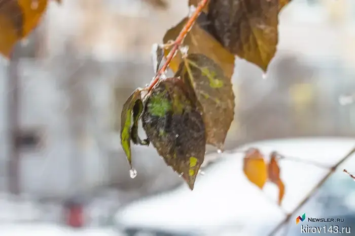 On November 29, it will be overcast and cool in Kirov.