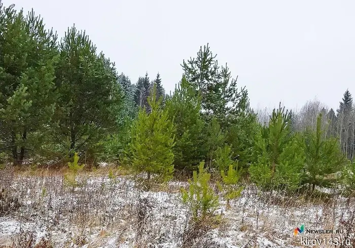 Кировского стрелка оштрафовали за добычу бобра и утки.