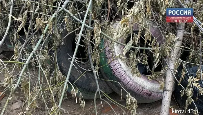 Старые автомобильные шины можно сдать в Первомайском районе.