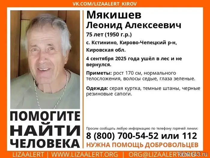 In the Kirovo-Chepetsky district, they are searching for a 75-year-old pensioner who got lost in the forest.