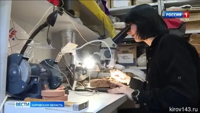 В международном журнале палеобиологии опубликована статья о хищнике из Котельничского местонахождения.