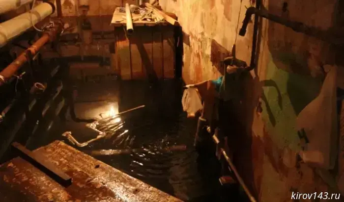 There are 50 centimeters of feces in the Kirov basement, and the management company is silent.
