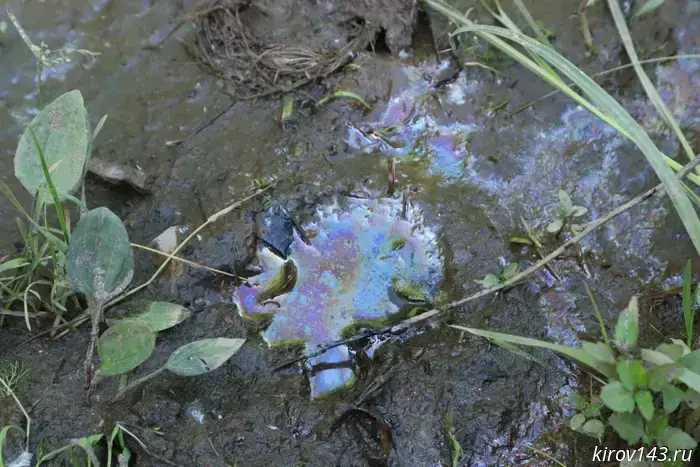 Mostovitsa is in trouble again: in Chistye Prudy, the river is polluted with oily runoff