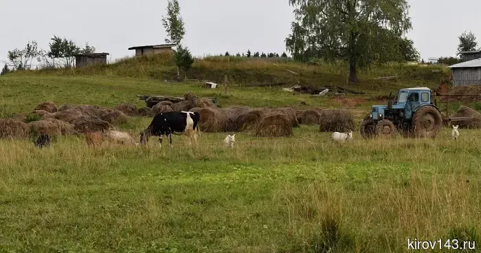Кредитный портфель и долговые обязательства сельскохозяйственных производителей Кировской области достигли 36 миллиардов.