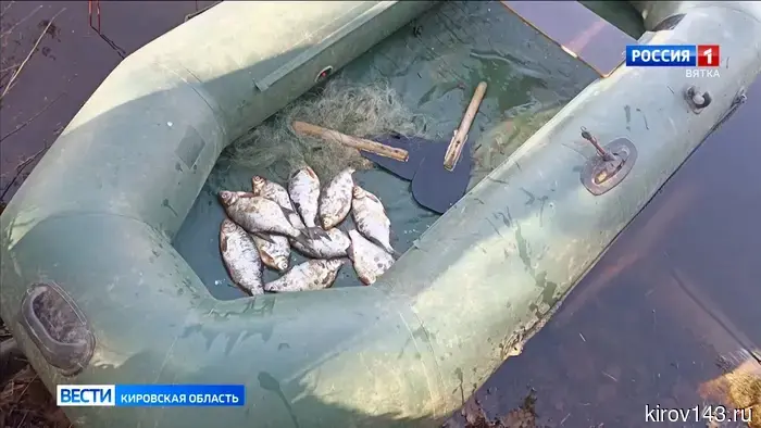 Браконьеру из района Котельнич может грозить настоящий тюремный срок.