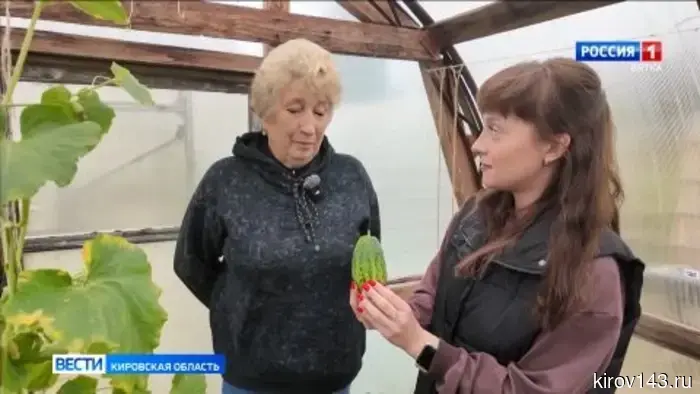 В Нововятске состоялась ярмарка урожая