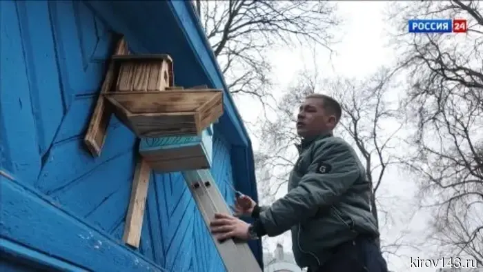 В кировском парке «Аполло» прошёл экологический конкурс скворечников и бельчатников.