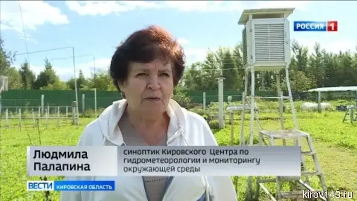 Синоптики рассказали, когда в этом году в Кирове ждать «бабье лето»