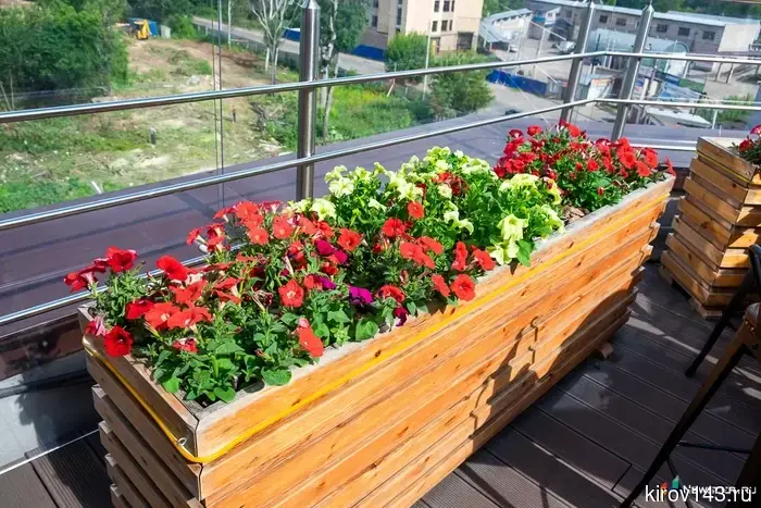 It became known what weather awaits the residents of Kirov at the beginning of July.
