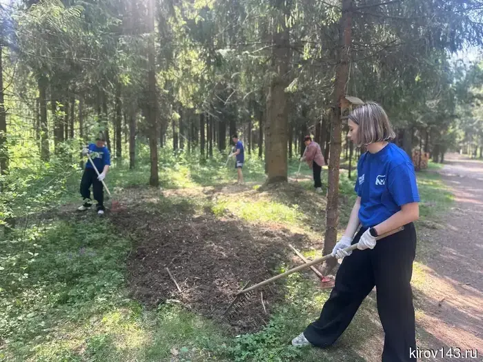 Активисты «Молодой Гвардии» наводили порядок на Тропе здоровья в Порошино.
