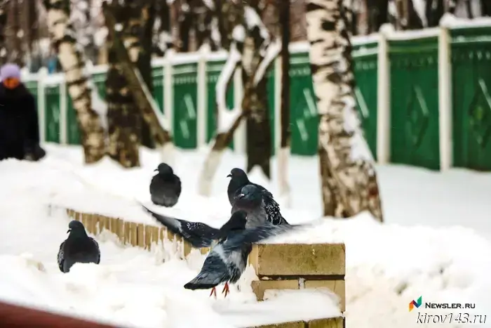 It will be slippery, cold, and windy in Kirov and the surrounding region through the end of the week.