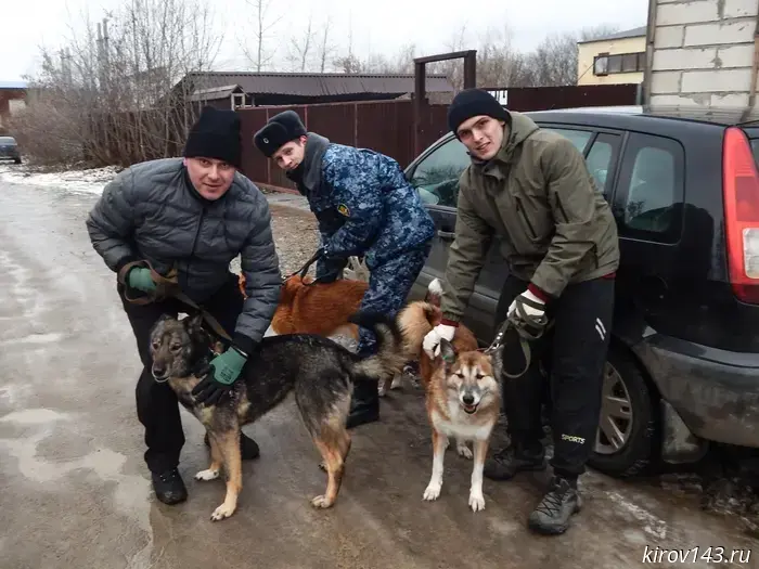 Inmates and staff of the Federal Penitentiary Service helped Kirov's "Wet Nose" shelter.
