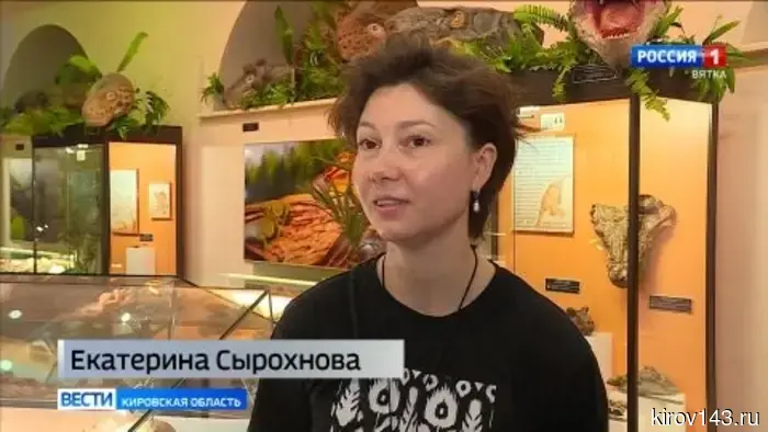 В палеонтологическом музее кировчане узнают, как отличить настоящую окаменелость от похожего минерала.