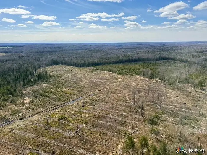 In the Kirov region, authorities have not allowed logging and excavation on agricultural land.