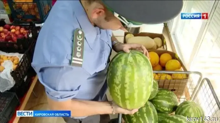 Кировчанам объяснили, как правильно выбрать вкусный арбуз.