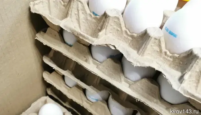 Соколов попросил Рогожкина узнать цены на яйца в Кировской области.