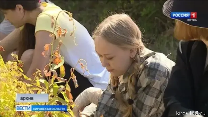 Более тысячи подростков смогут устроиться на временную работу в летние каникулы.