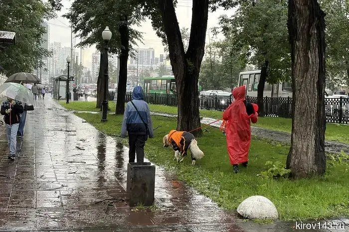 More than 40% of houses in Kirov and the region were inspected before the heating season.