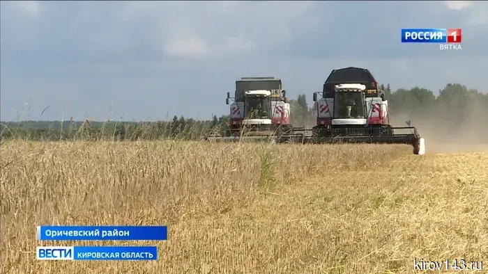 Аграрии Кировской области приступают к сбору зерновых культур.