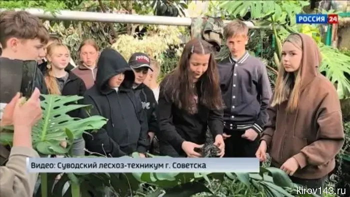 В Кировской области были подведены итоги III межрегионального слёта школьных лесничеств.