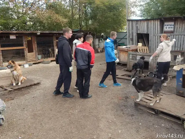 Those sentenced to forced labor helped the Kirov animal shelter.