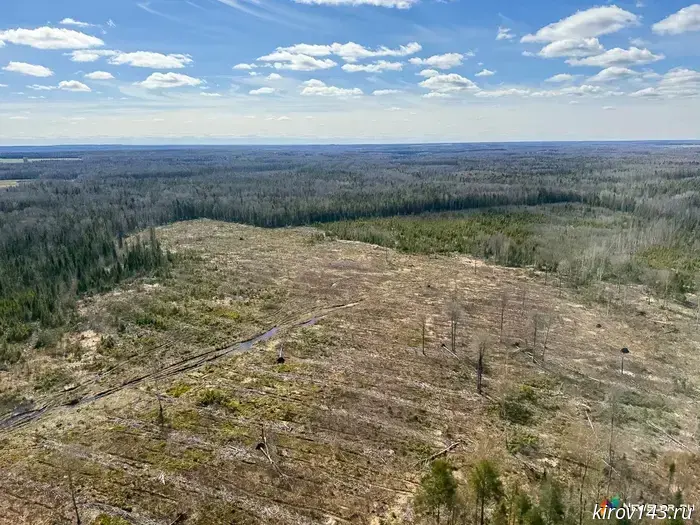 The organization was fined 200 thousand for overgrowing agricultural land