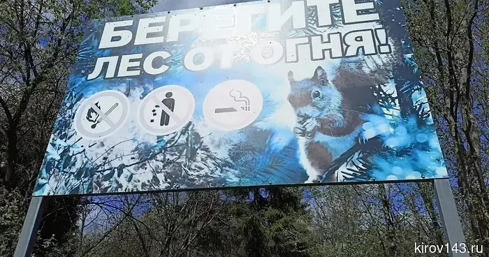 В Кировской области утвердили план действий в случае ЧС в лесах