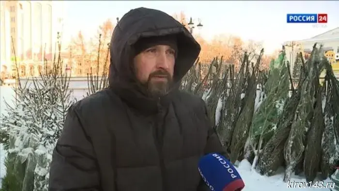 В Кирове начали работу девять ёлочных базаров
