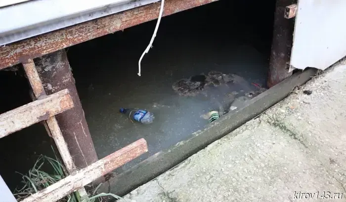 In the basement of the former orphanage, a hot sewage spring gurgled.