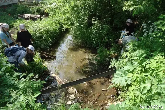 More than 150 clean-up events were held on the banks of rivers and lakes in Kirov Oblast.
