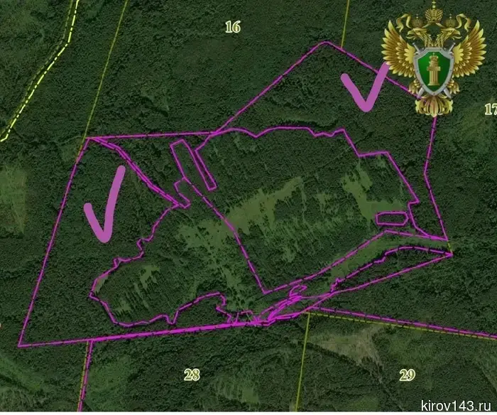 The prosecutor's office banned logging worth 250 million in Arbazh.