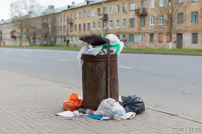 In Sosnovka, the gypsies threw the sheep's hide and intestines into the trash.
