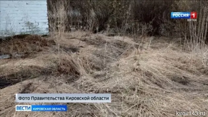 Загрязнение стоками почвы и реки Юг в Подосиновце не подтвердилось