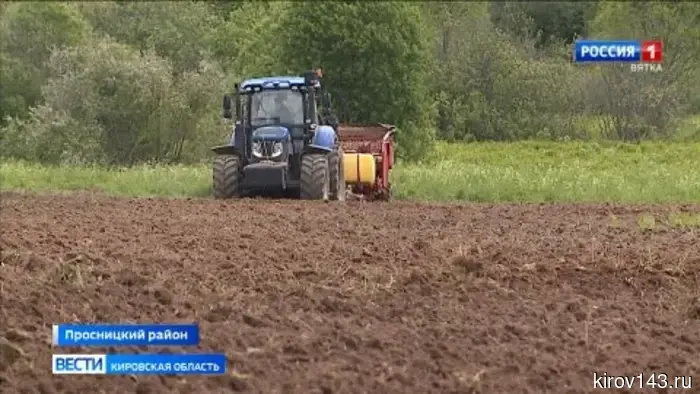 В Кировской области завершился процесс посадки картофеля.