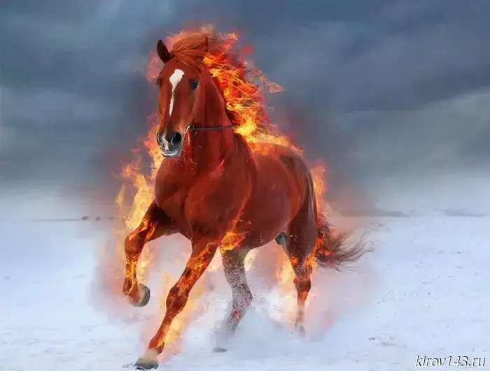 2026 год — год Красной Огненной Лошади.