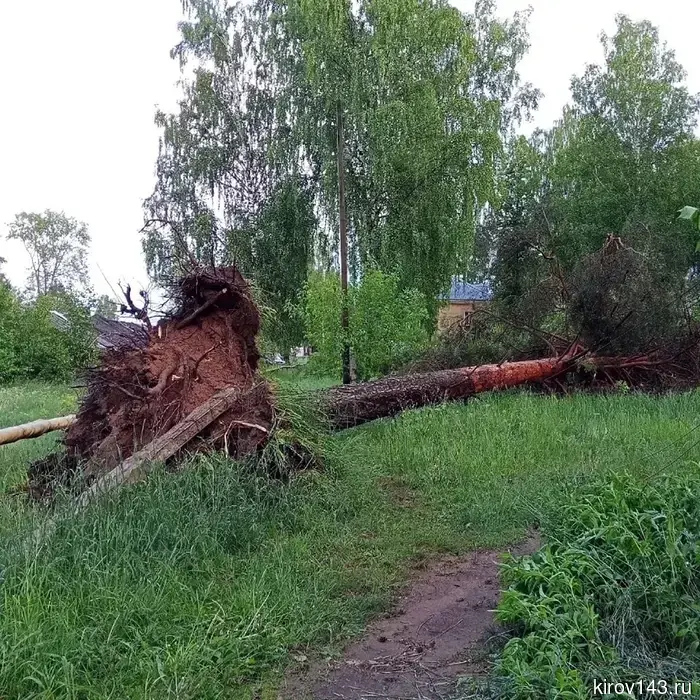 In Karintorf, the wind knocked down several trees: people were left without electricity.