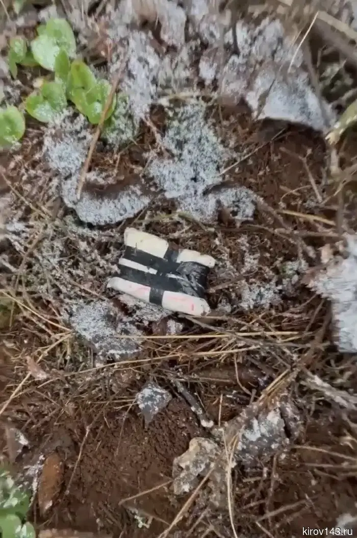 В Кирове суд приговорил к наказанию одну из участниц наркосообщества.