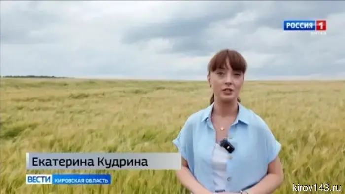 Аграрии Кировской области готовятся к сбору урожая зерновых.