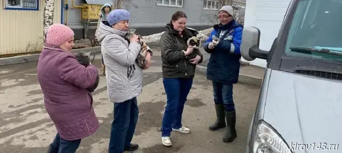 Dogs and cats will be "stabbed" in Geese