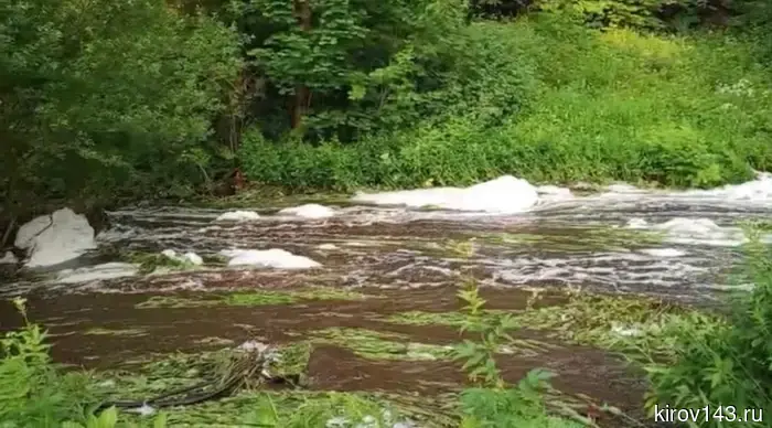 The spring in Malye Ryabi turned out to be contaminated with wastewater.