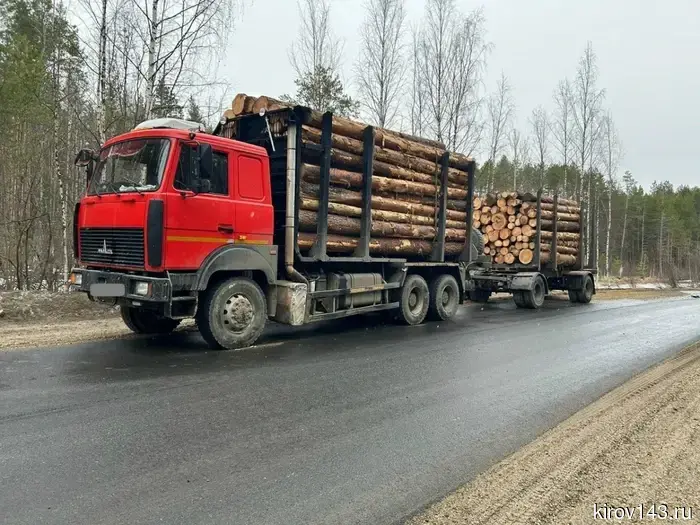 В Верхнекамском районе произошла авария между «Грантой» и лесовозом.